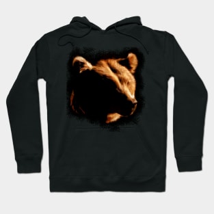 Large Grizzly bear head digital painting with colored chalk strokes Hoodie